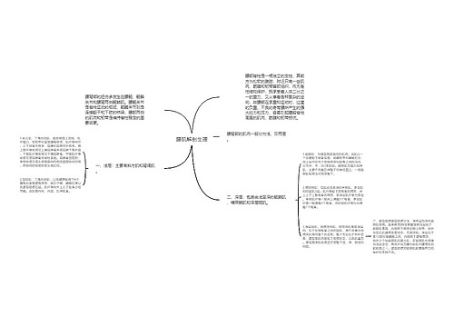 腰肌解剖生理