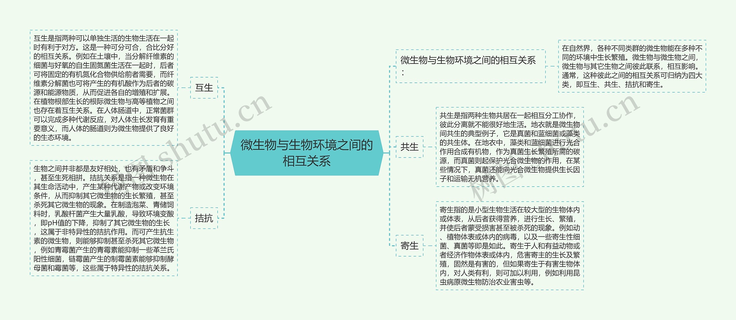 微生物与生物环境之间的相互关系思维导图