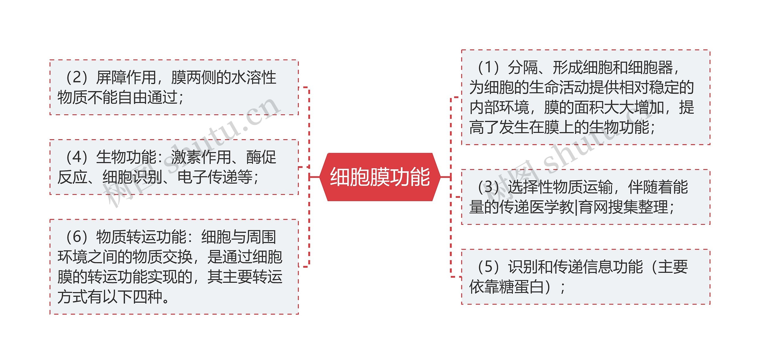 细胞膜功能思维导图