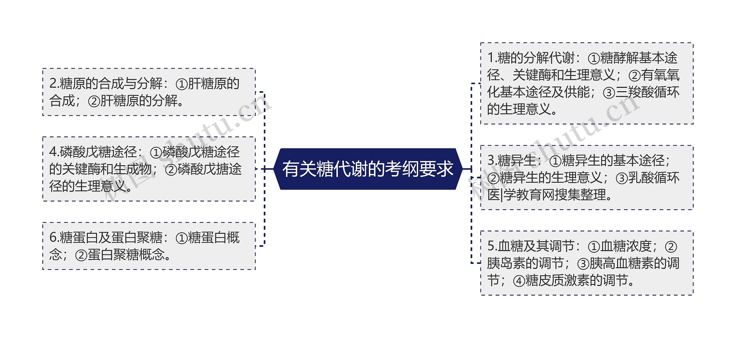 有关糖代谢的考纲要求