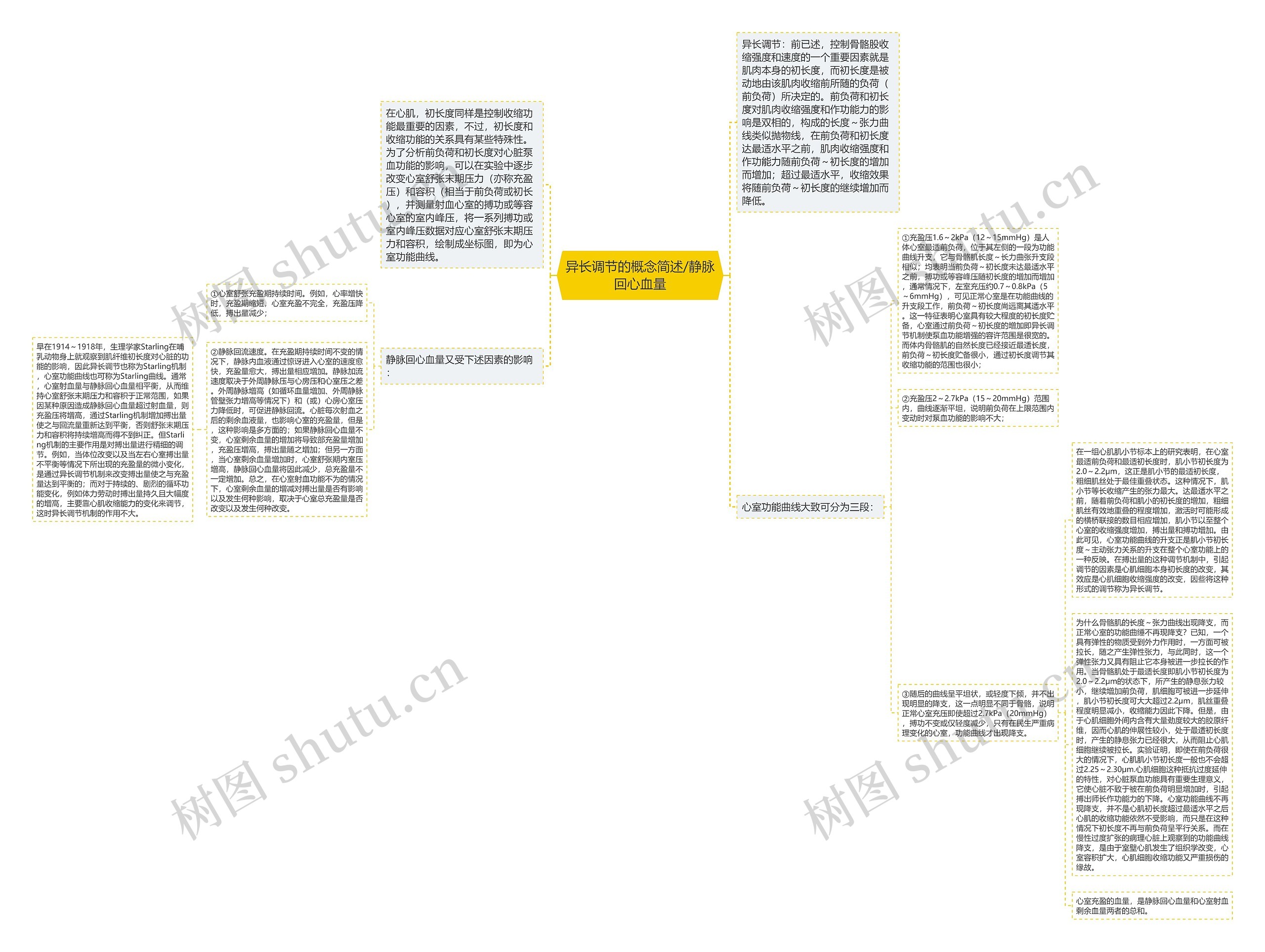 异长调节的概念简述/静脉回心血量思维导图