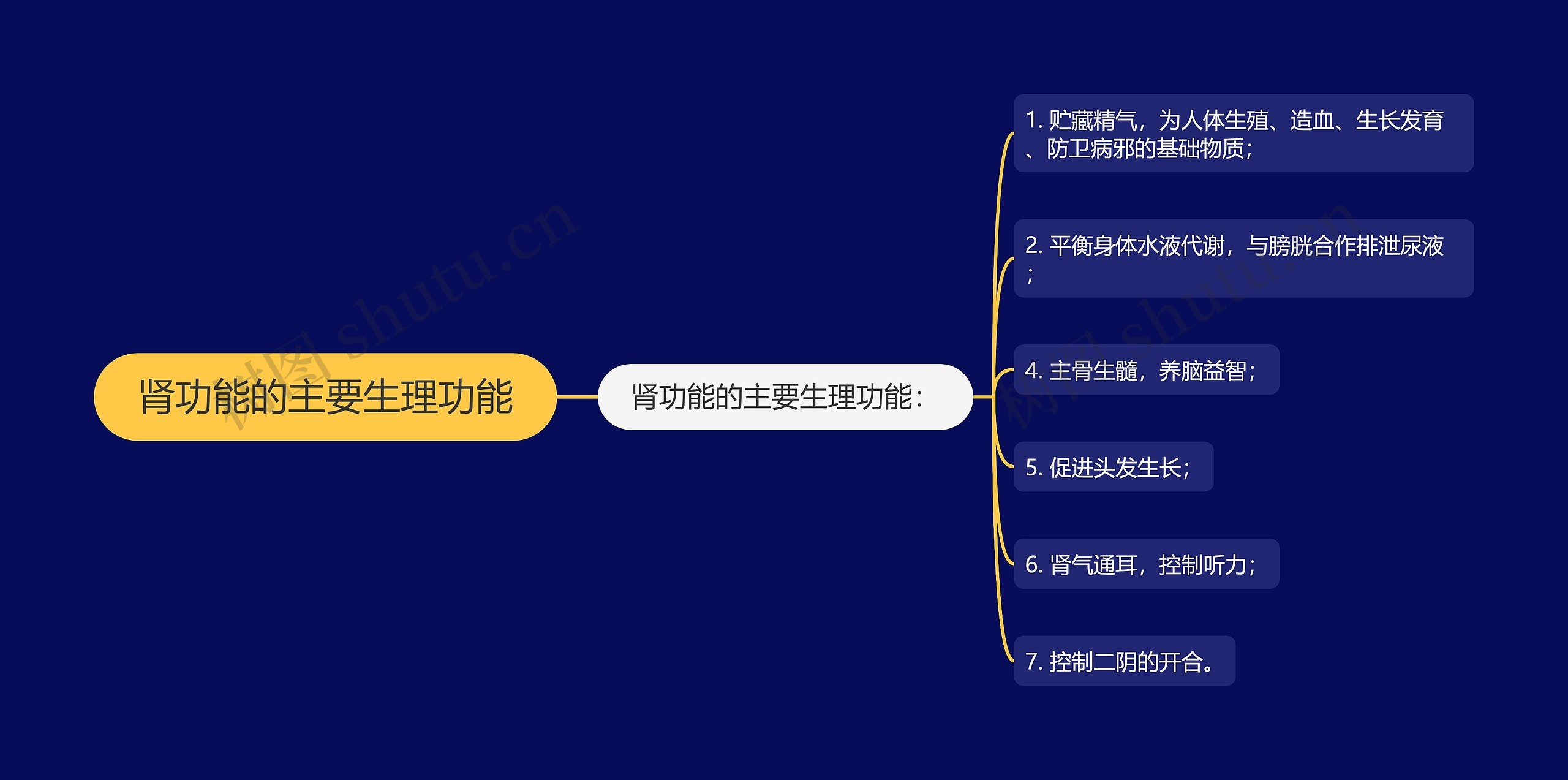 肾功能的主要生理功能 肾功能的主要生理功能