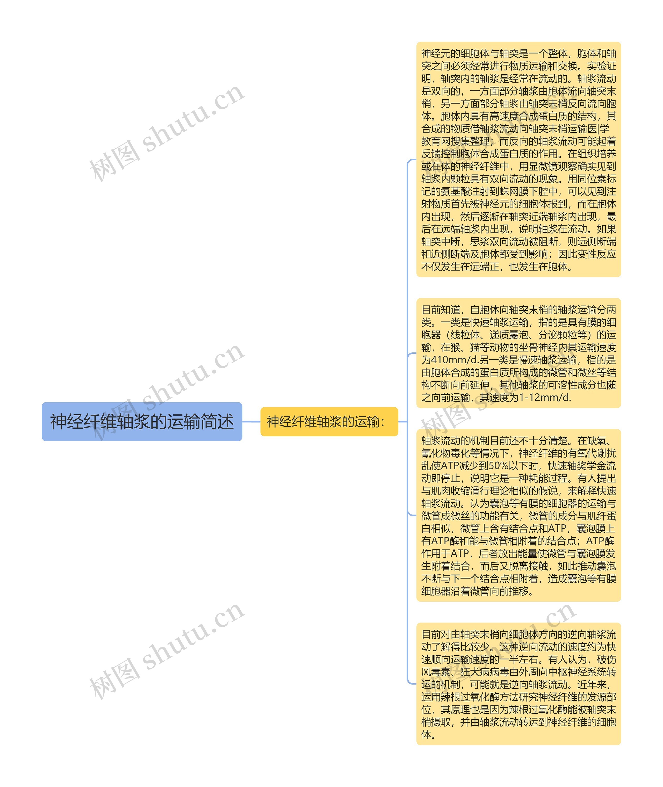 神经纤维轴浆的运输简述思维导图