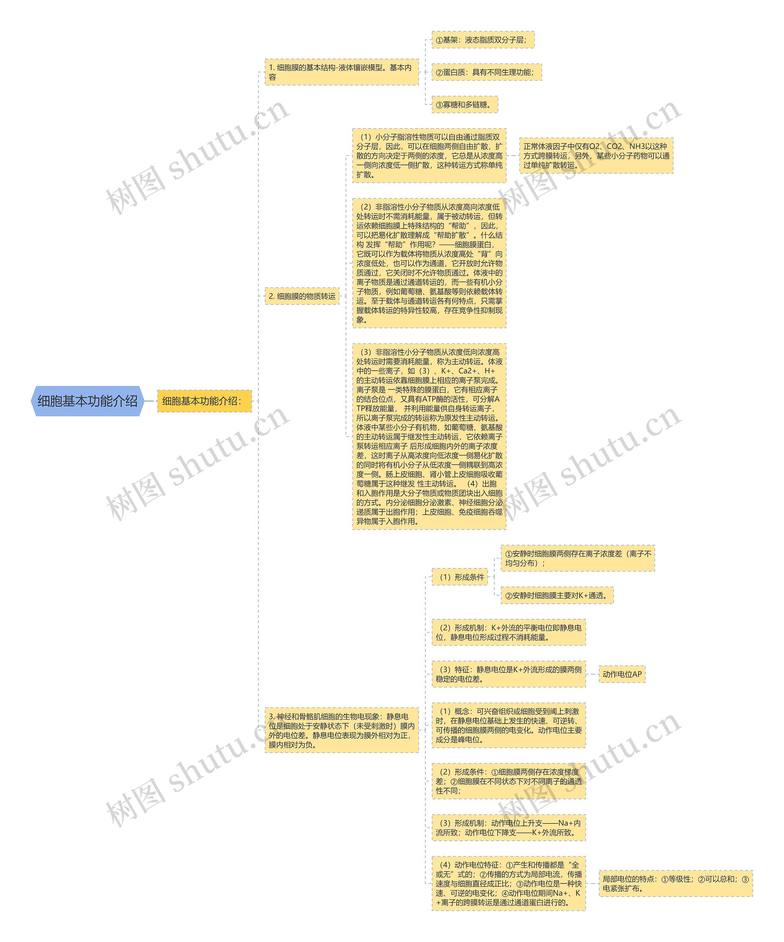 细胞基本功能介绍思维导图