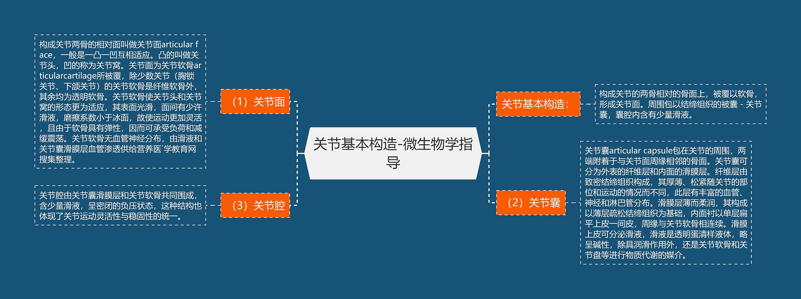 关节基本构造-微生物学指导 关节基本构造-微生物学指导