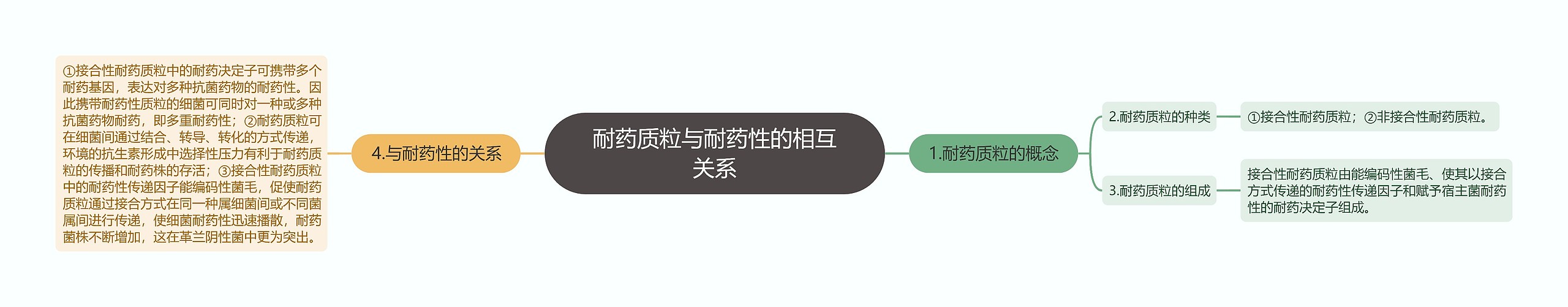 耐药质粒与耐药性的相互关系思维导图