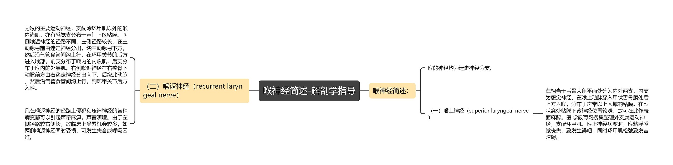 喉神经简述-解剖学指导 喉神经简述-解剖学指导