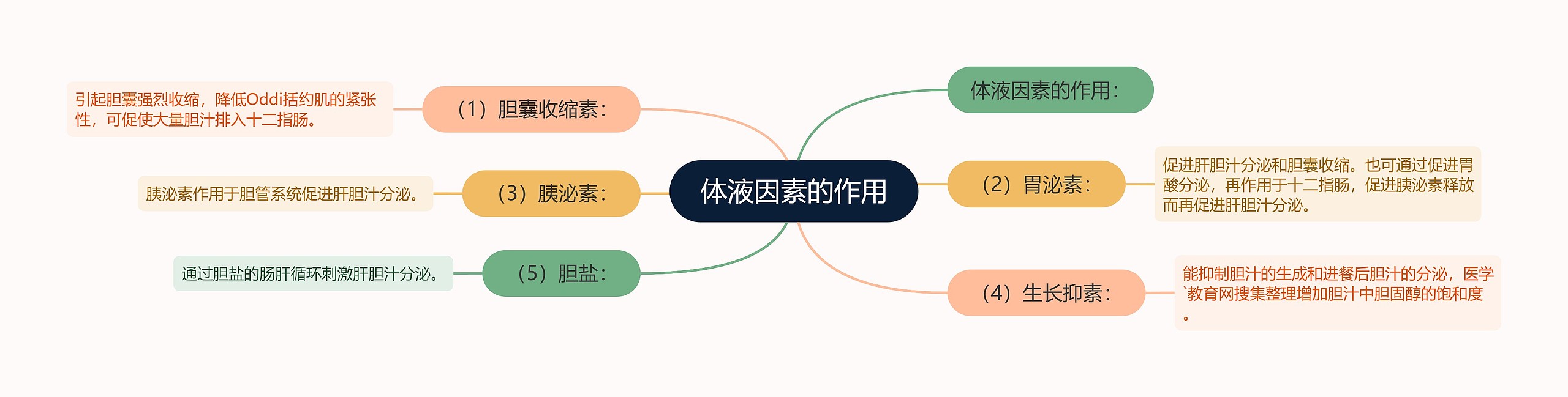 体液因素的作用思维导图