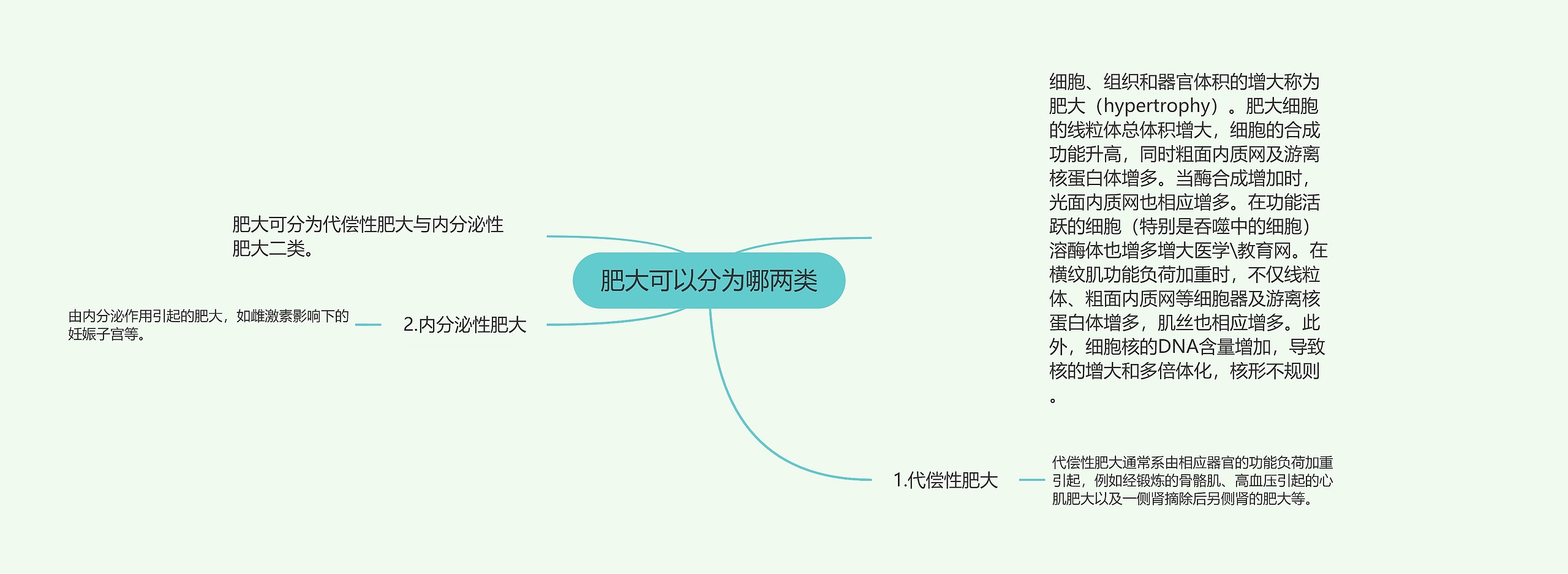 肥大可以分为哪两类思维导图