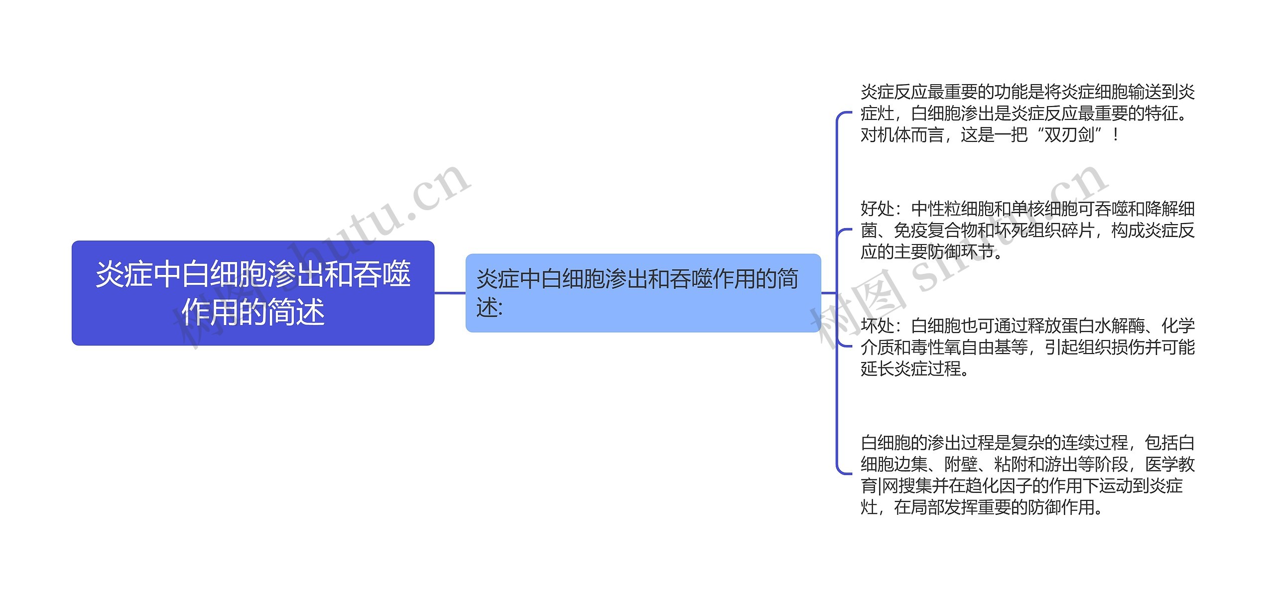 炎症中白细胞渗出和吞噬作用的简述思维导图