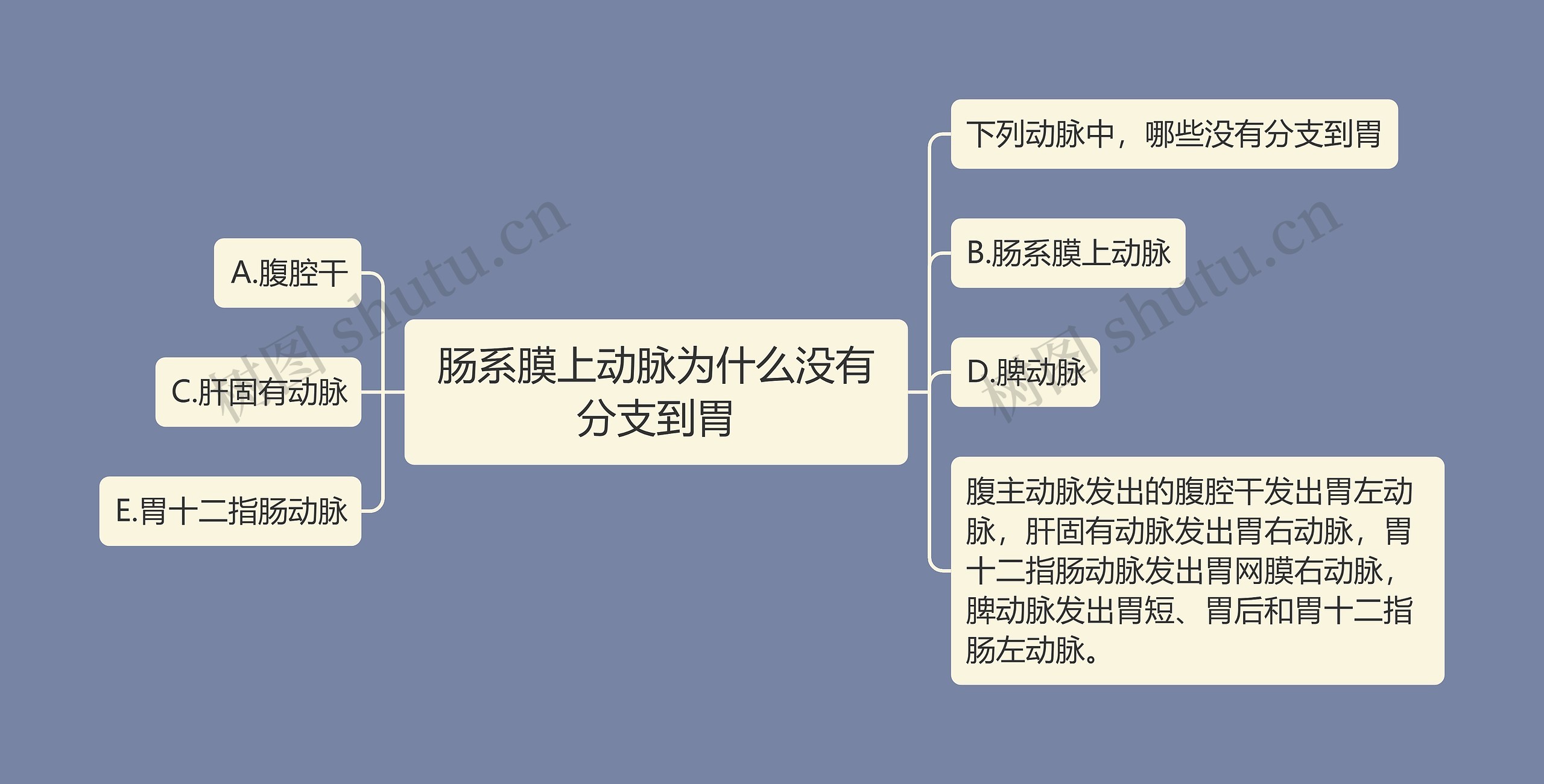 肠系膜上动脉为什么没有分支到胃思维导图