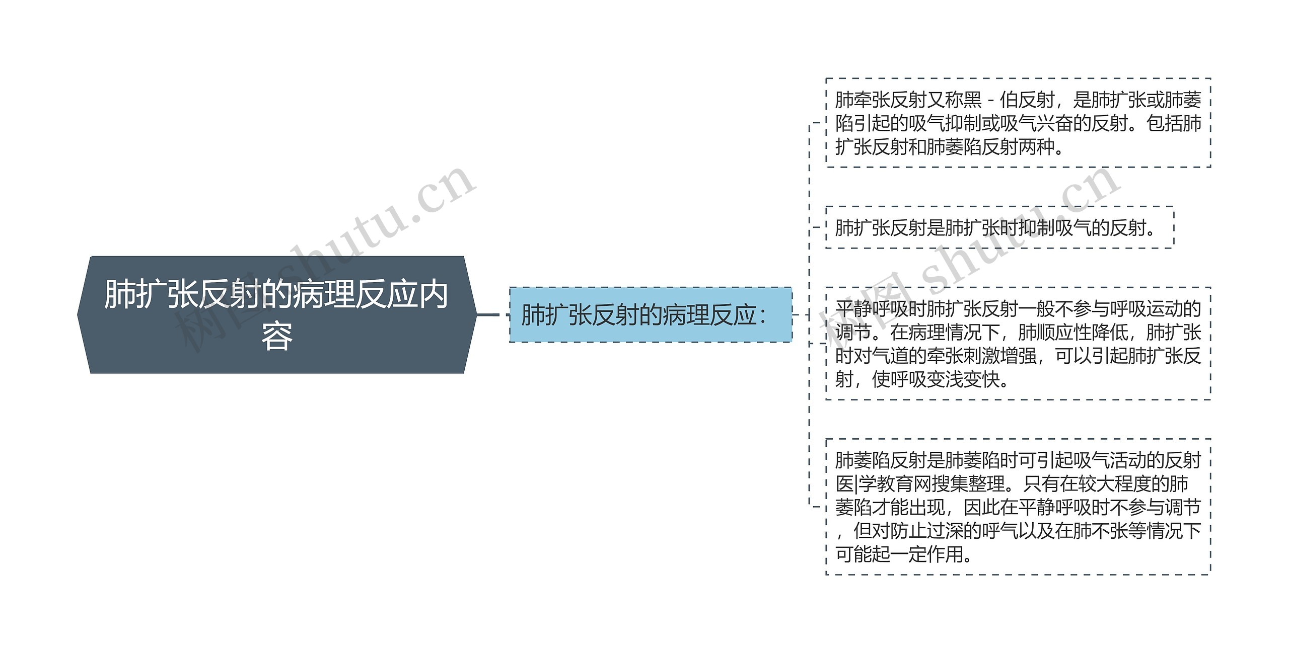 肺扩张反射的病理反应内容思维导图