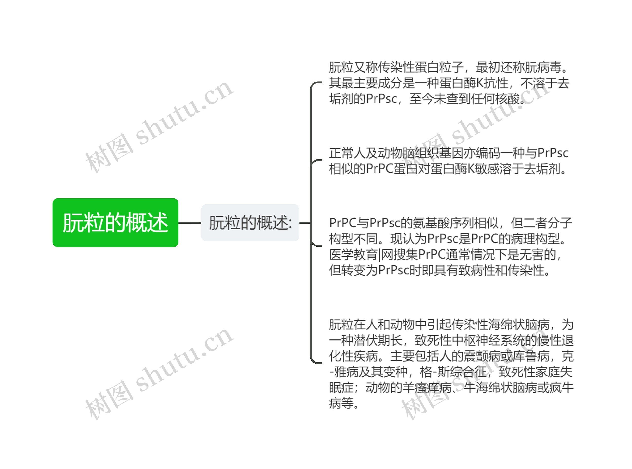 朊粒的概述思维导图