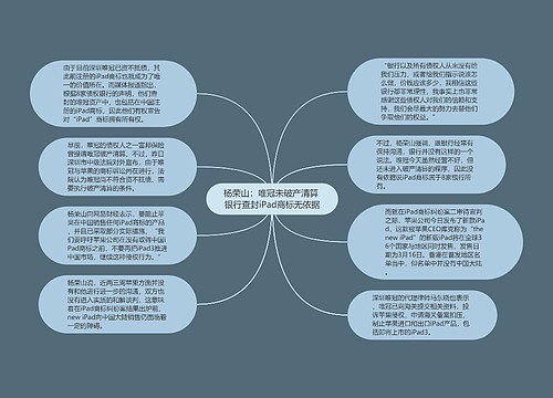 杨荣山：唯冠未破产清算 银行查封iPad商标无依据