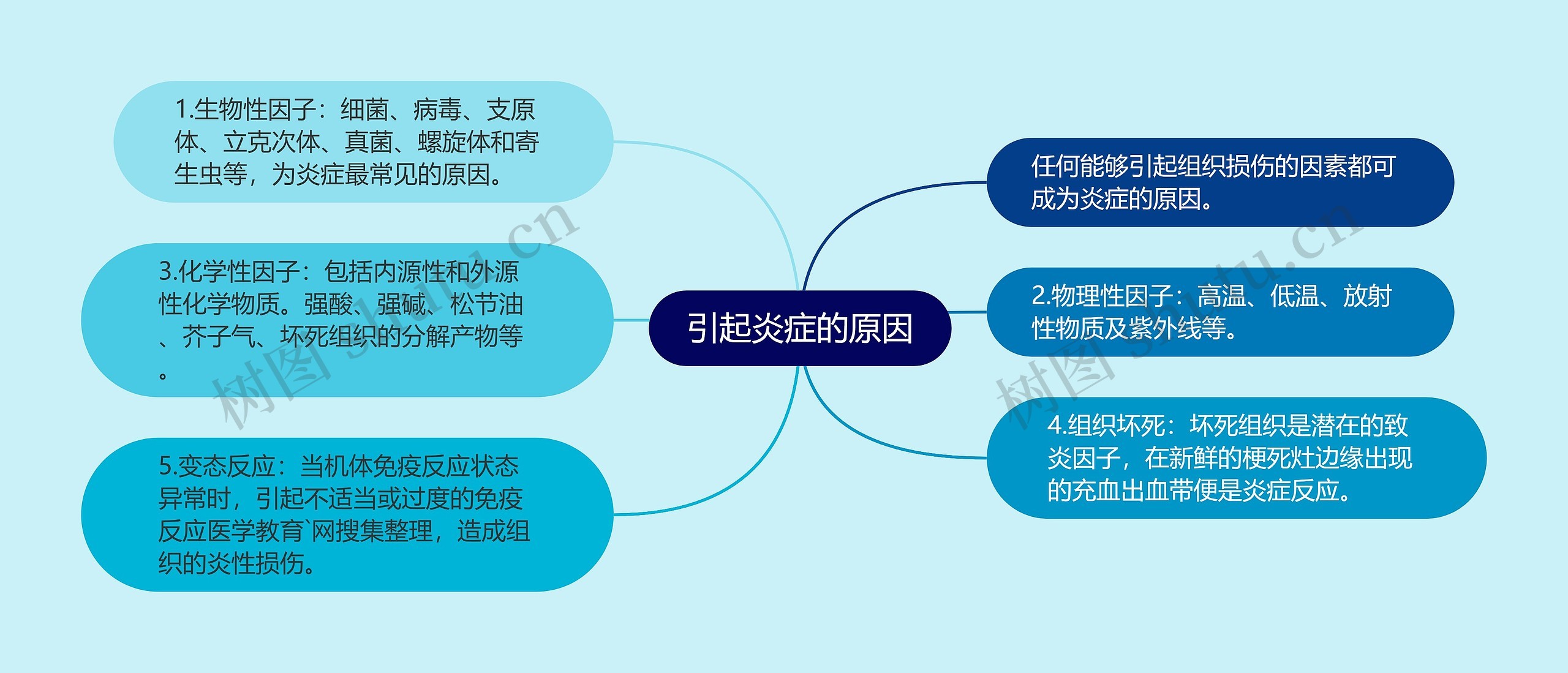 引起炎症的原因 引起炎症的原因