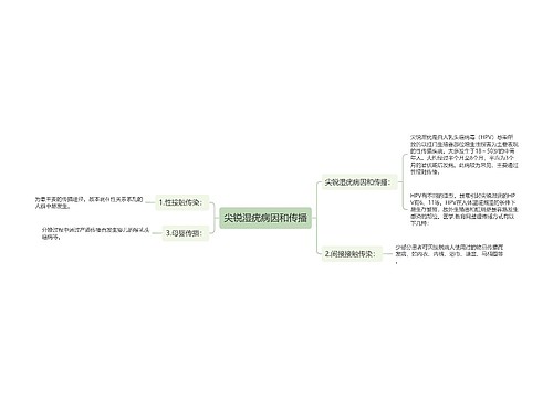 尖锐湿疣病因和传播