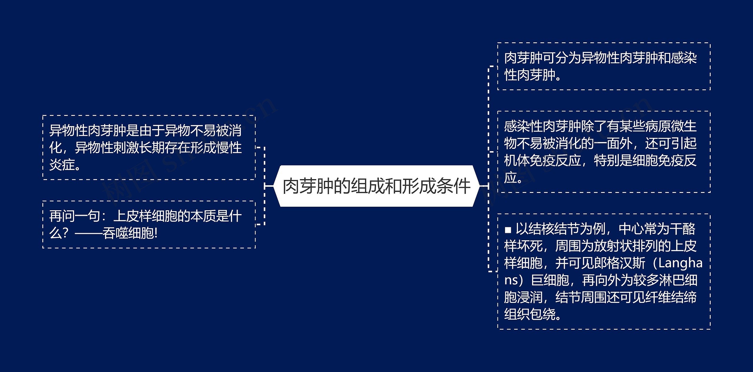 肉芽肿的组成和形成条件 肉芽肿的组成和形成条件