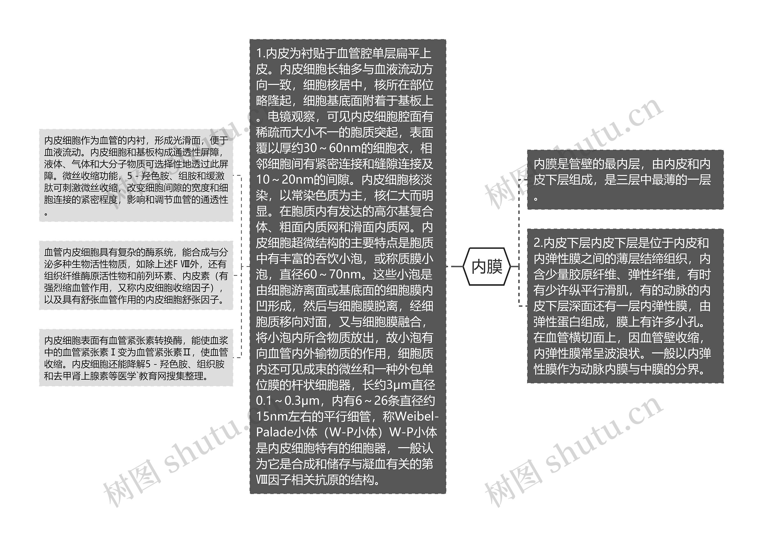 内膜思维导图