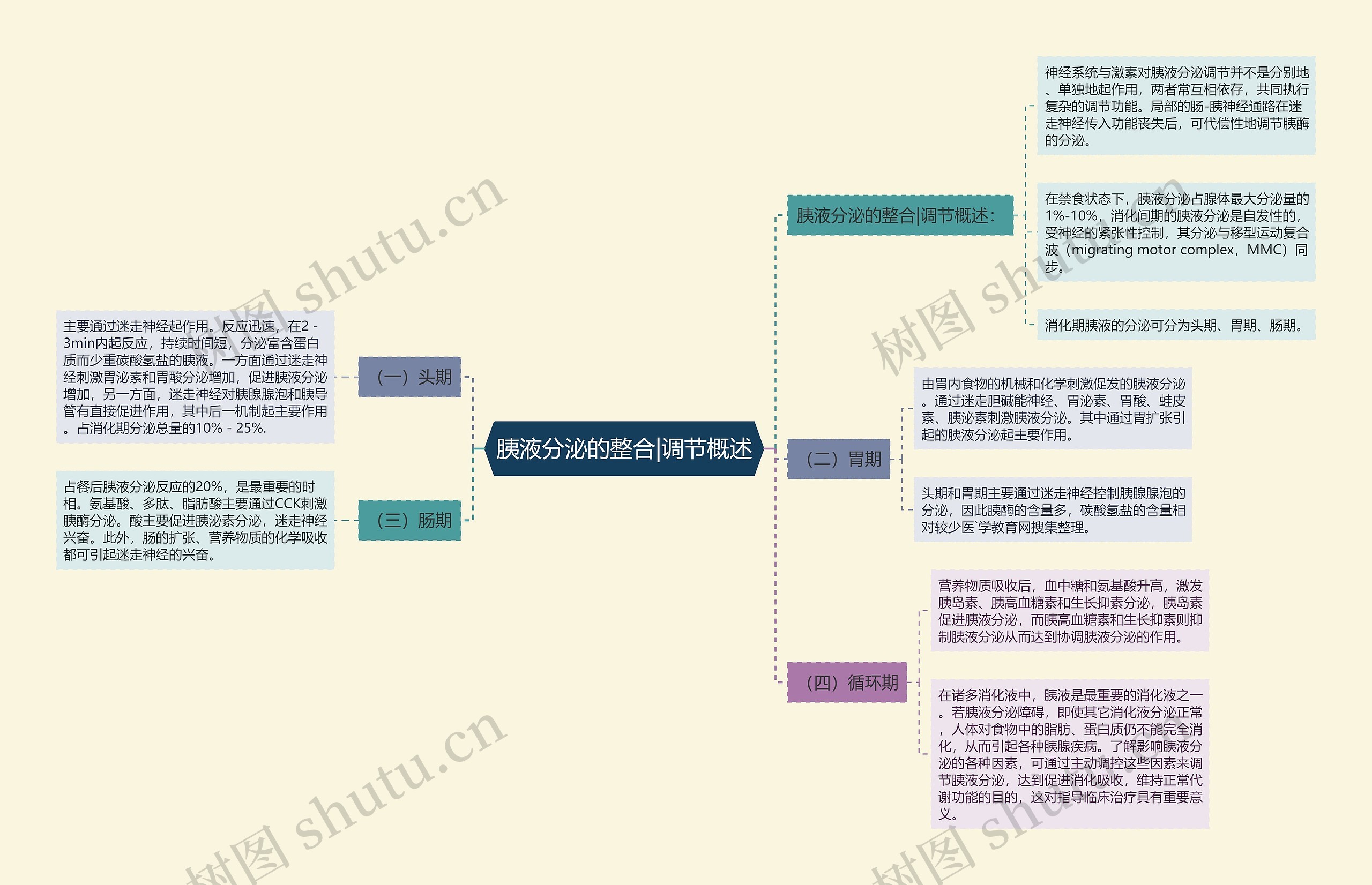 胰液分泌的整合|调节概述思维导图