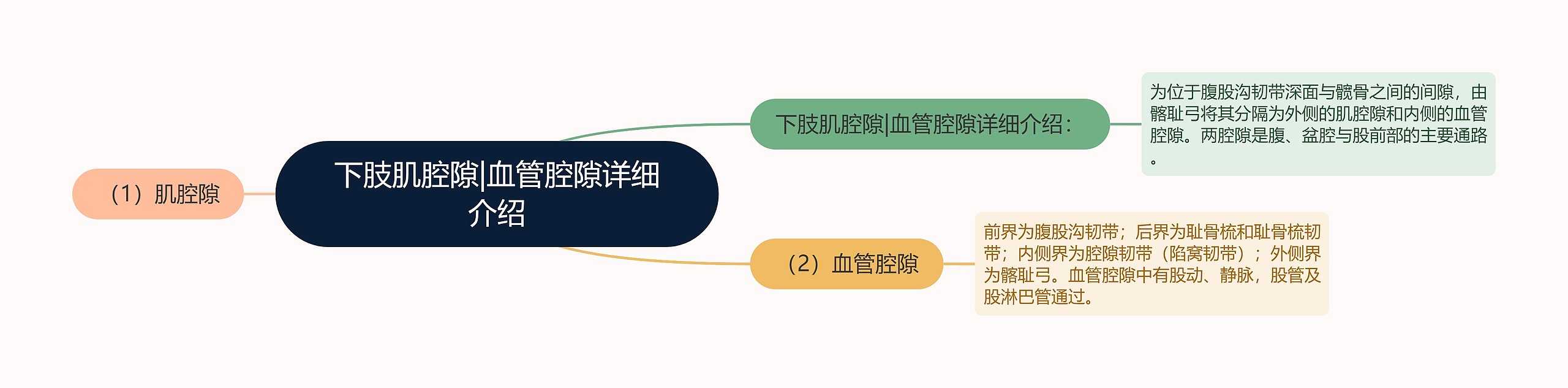 下肢肌腔隙|血管腔隙详细介绍思维导图