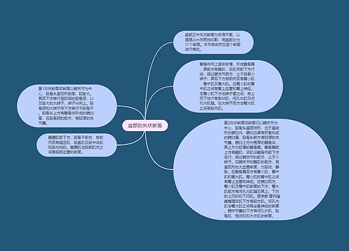 盆部的矢状断面