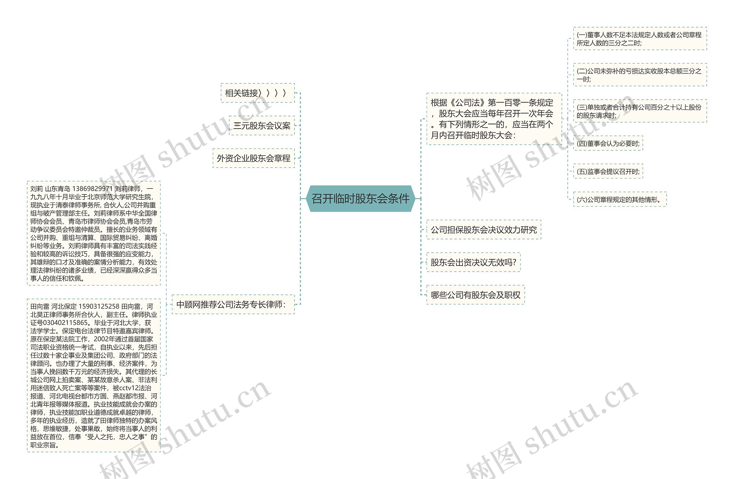 召开临时股东会条件思维导图