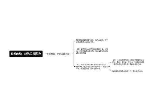 臀部的动、静脉位置|解剖