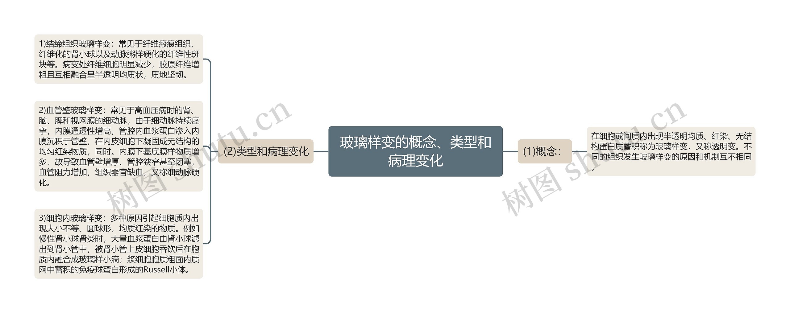 玻璃样变的概念、类型和病理变化