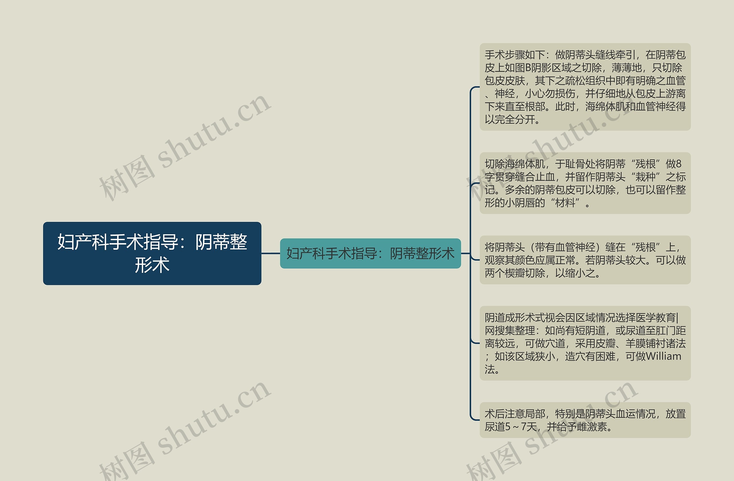 妇产科手术指导：阴蒂整形术思维导图