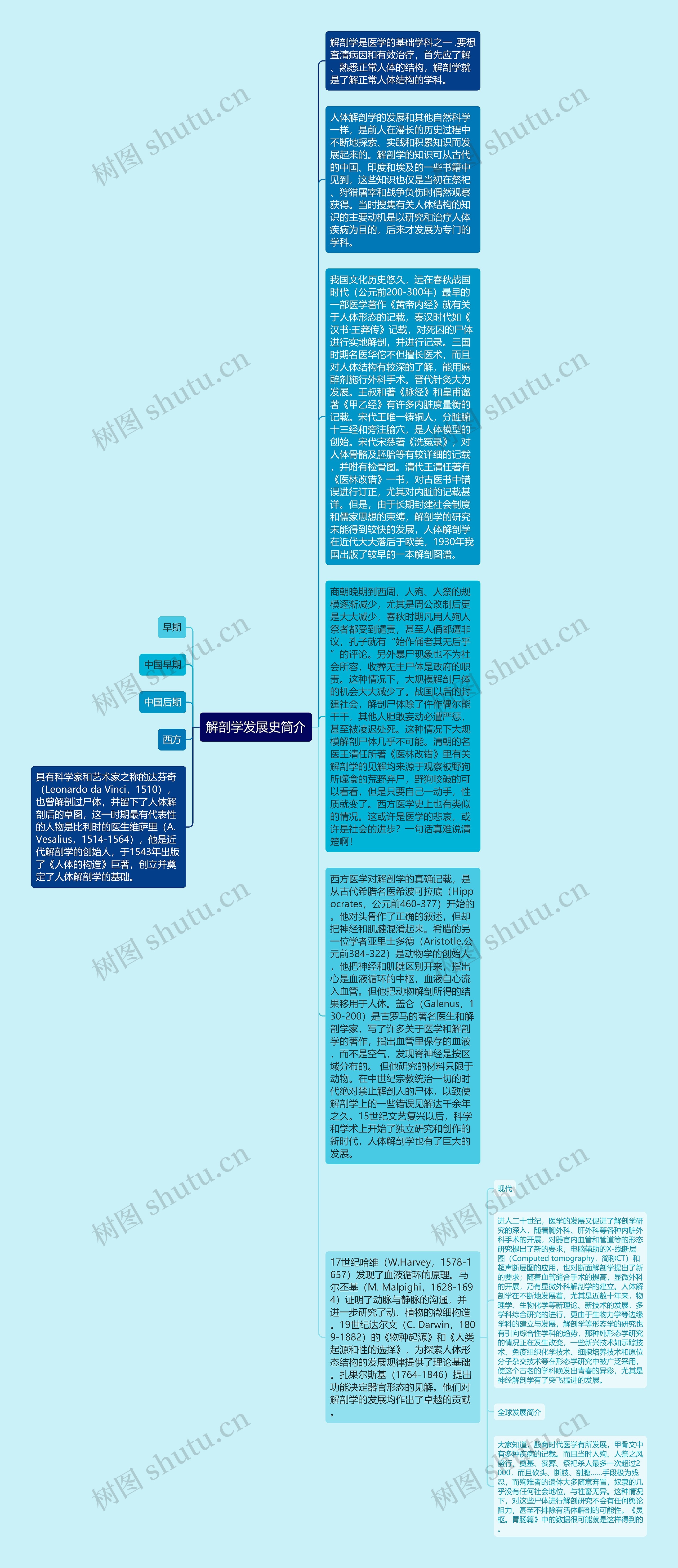 解剖学发展史简介