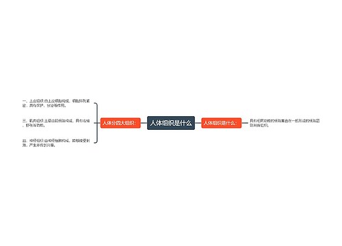 人体组织是什么