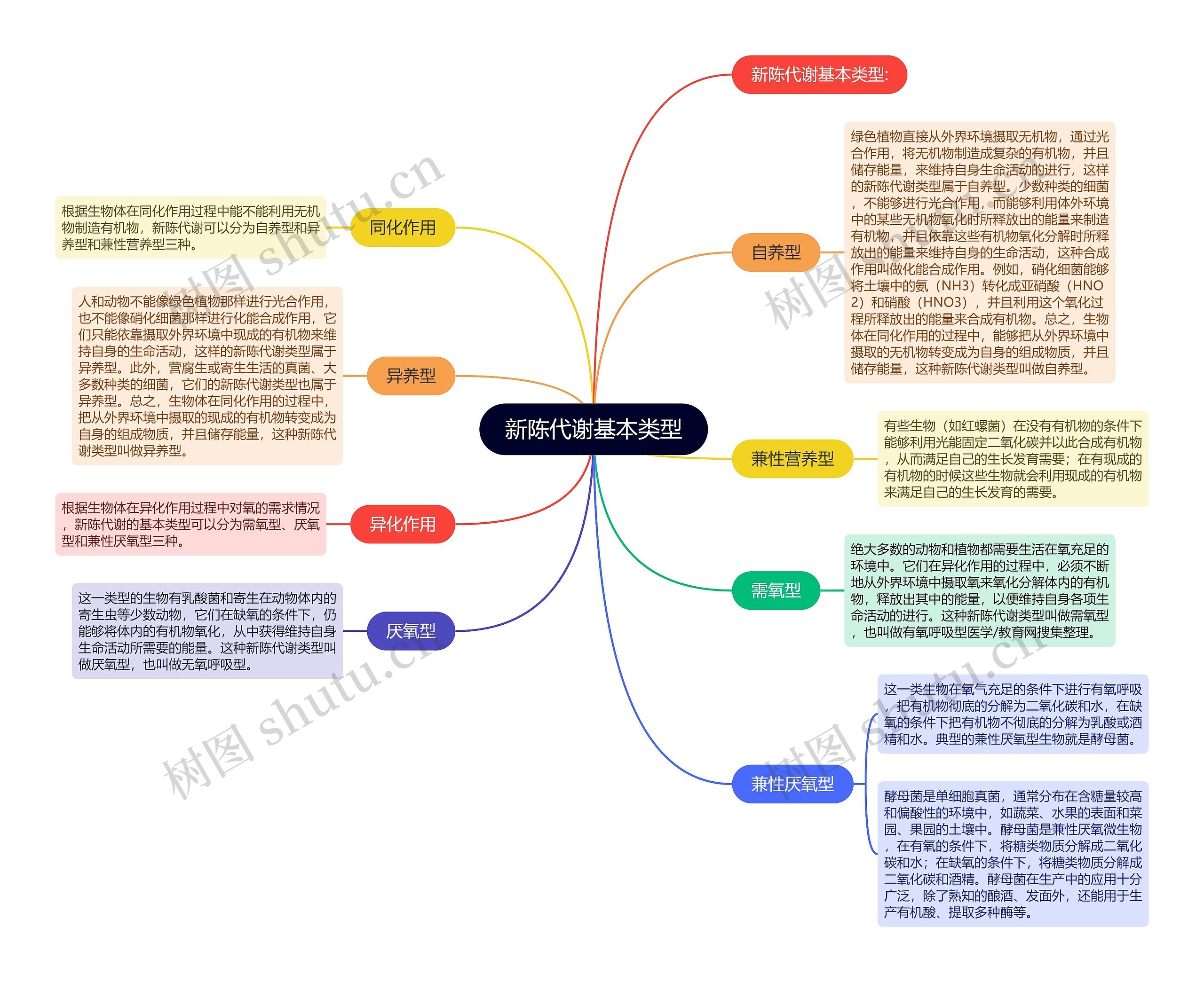 新陈代谢基本类型思维导图