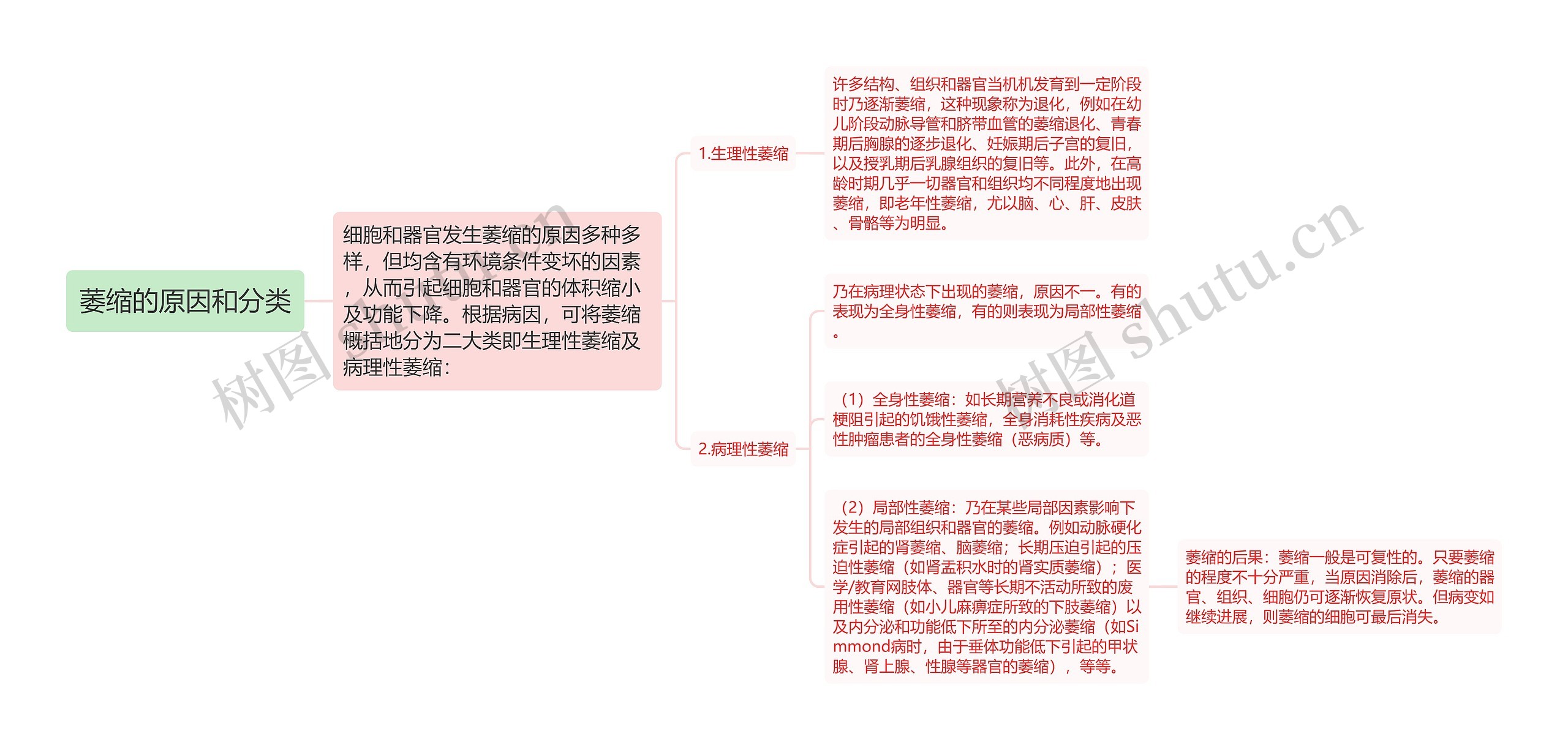 萎缩的原因和分类思维导图