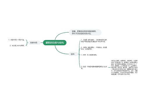 腱鞘的功能与结构思维导图