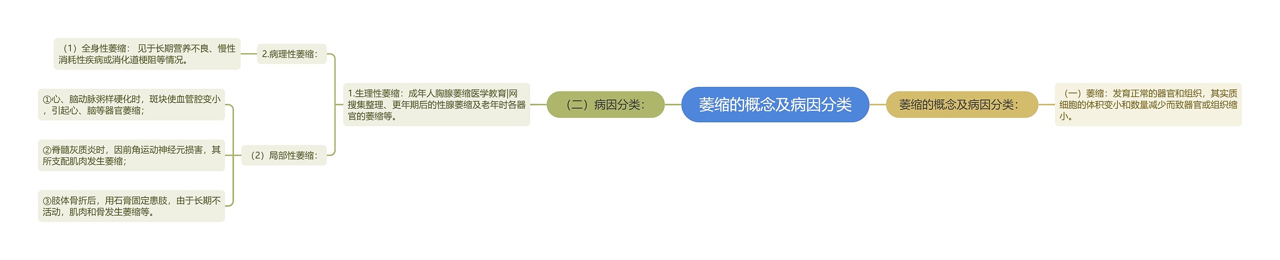 萎缩的概念及病因分类 萎缩的概念及病因分类