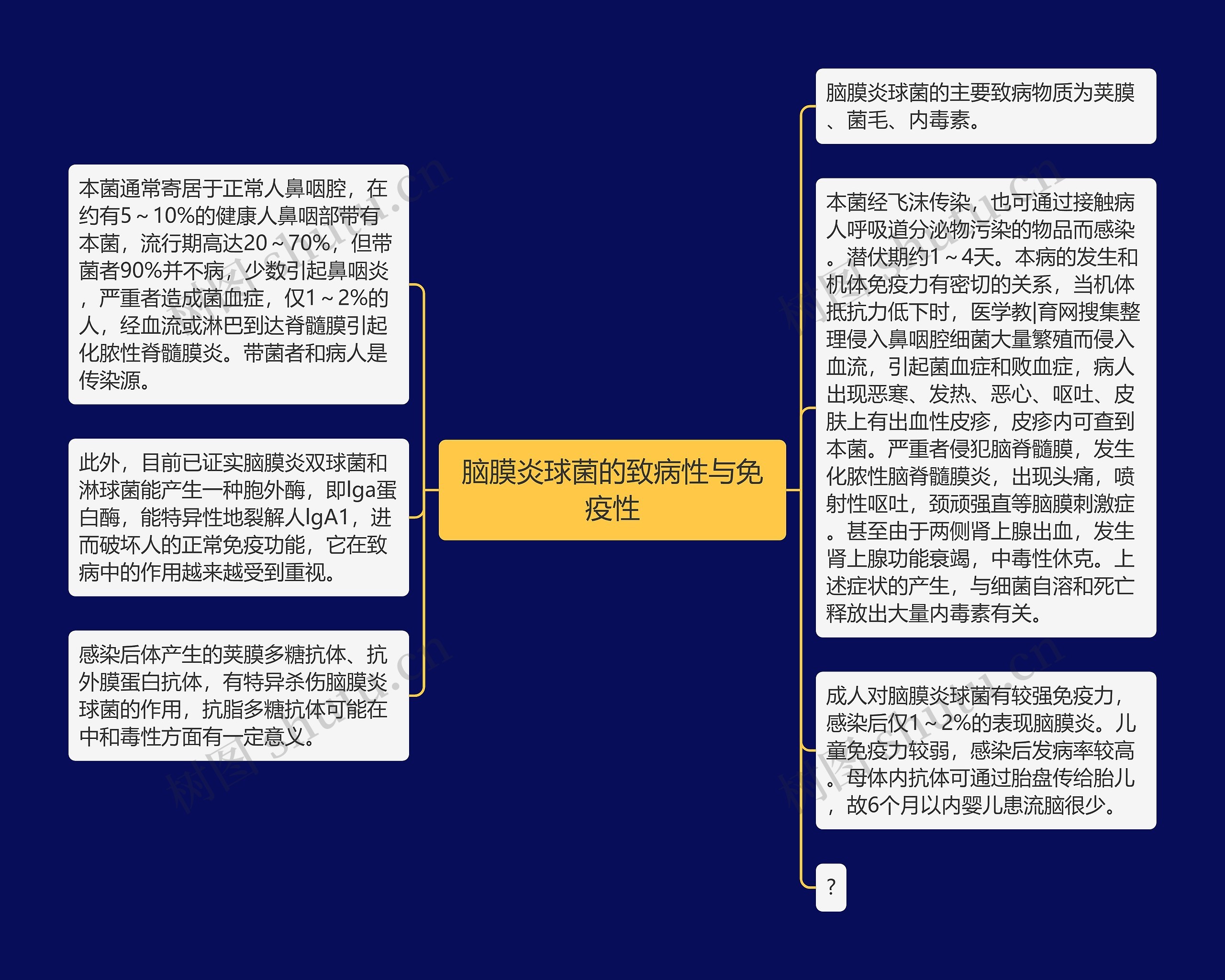 脑膜炎球菌的致病性与免疫性 脑膜炎球菌的致病性与免疫性