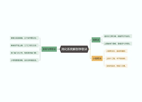 消化系统解剖学歌诀