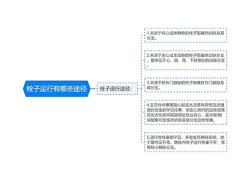 栓子运行有哪些途径