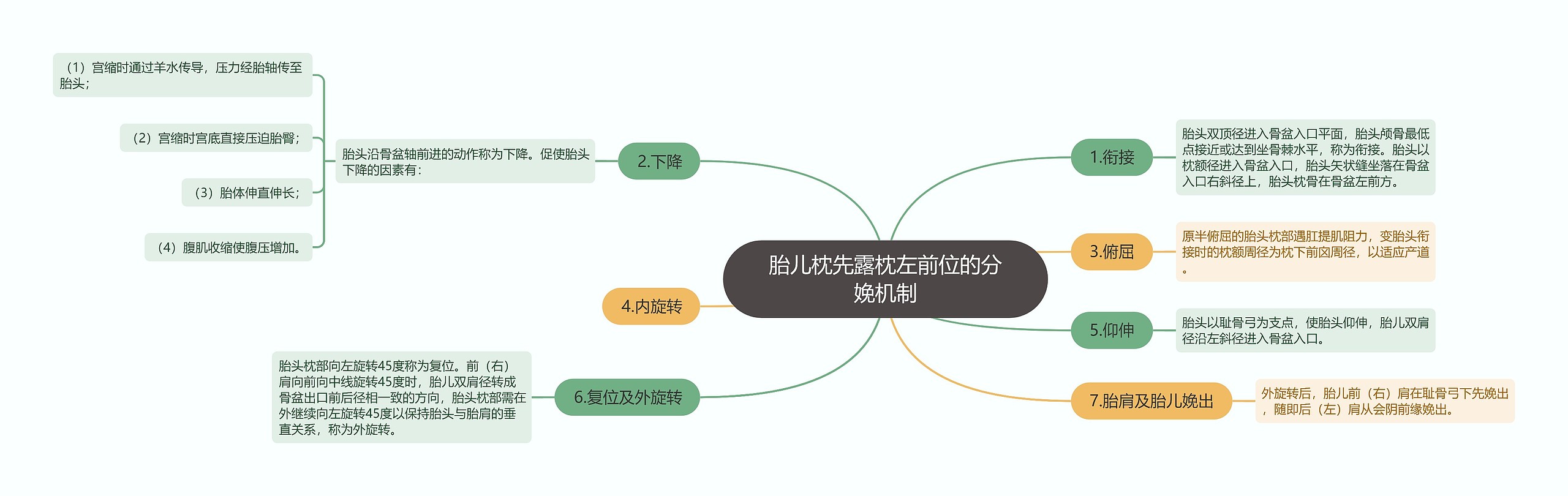 胎儿枕先露枕左前位的分娩机制