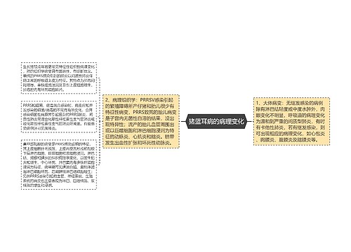 猪蓝耳病的病理变化