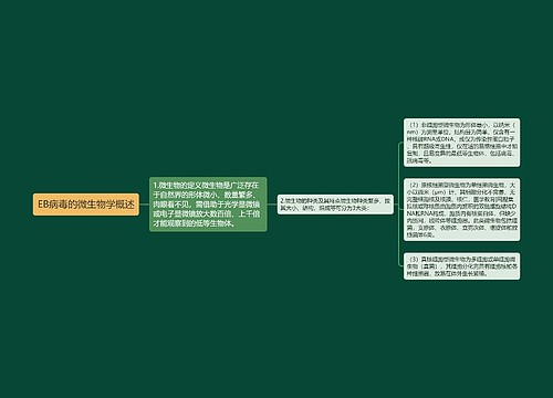 EB病毒的微生物学概述