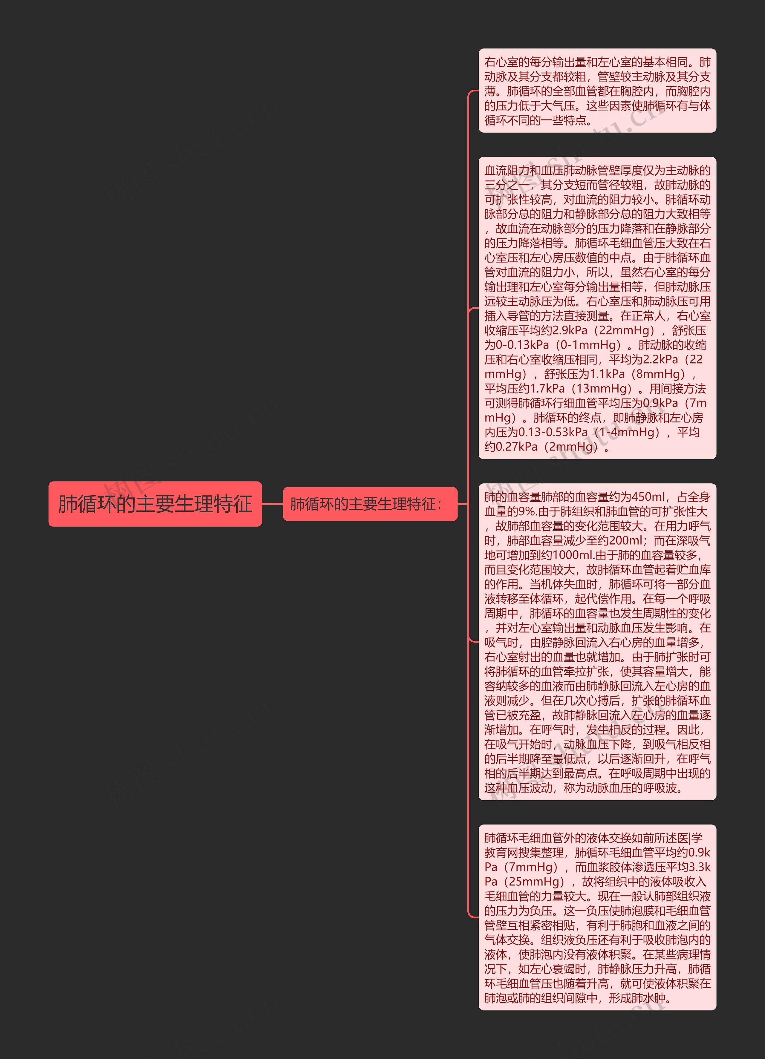 肺循环的主要生理特征思维导图