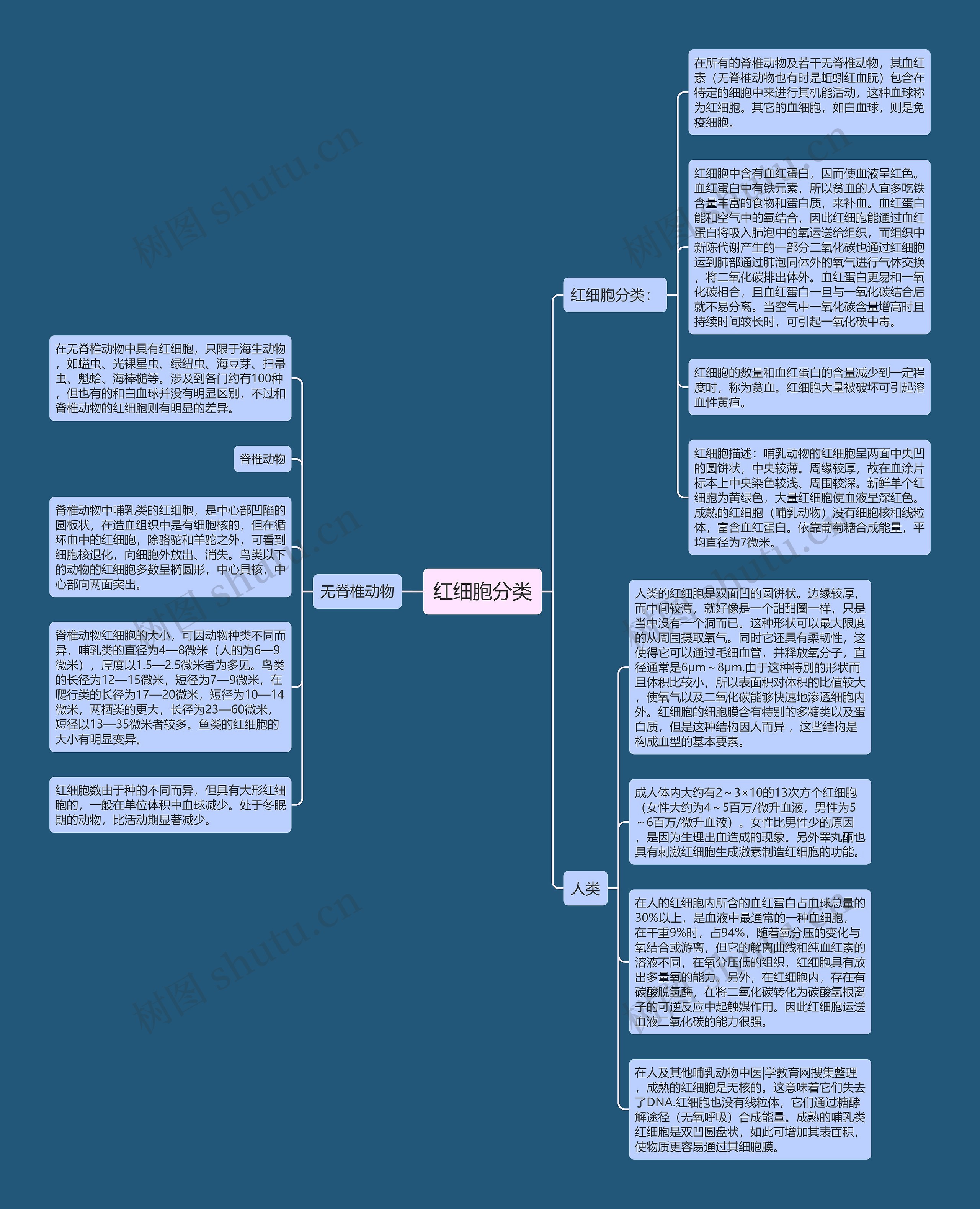 红细胞分类思维导图