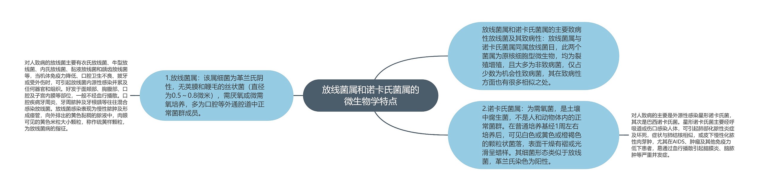 放线菌属和诺卡氏菌属的微生物学特点思维导图