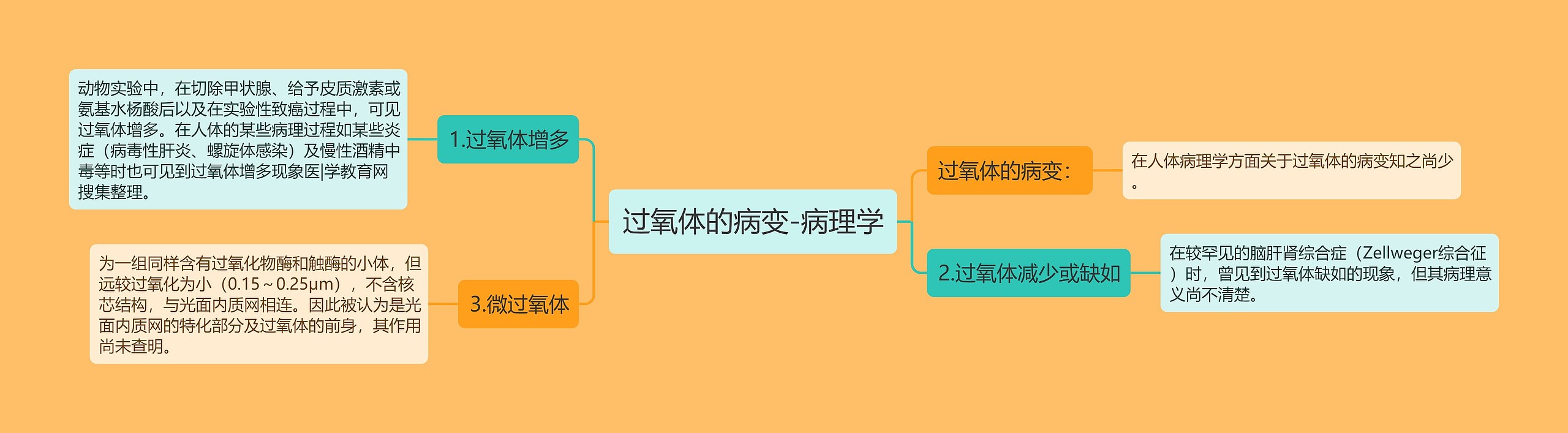 过氧体的病变-病理学思维导图