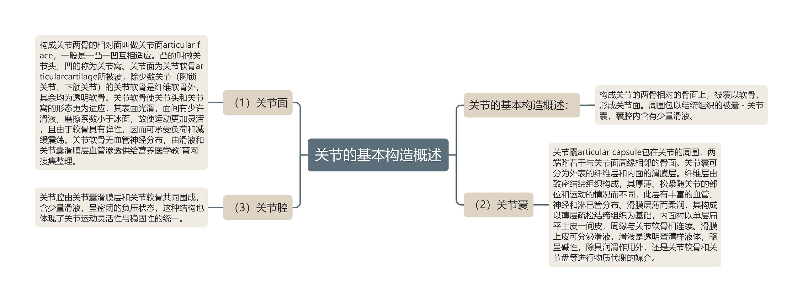 关节的基本构造概述思维导图