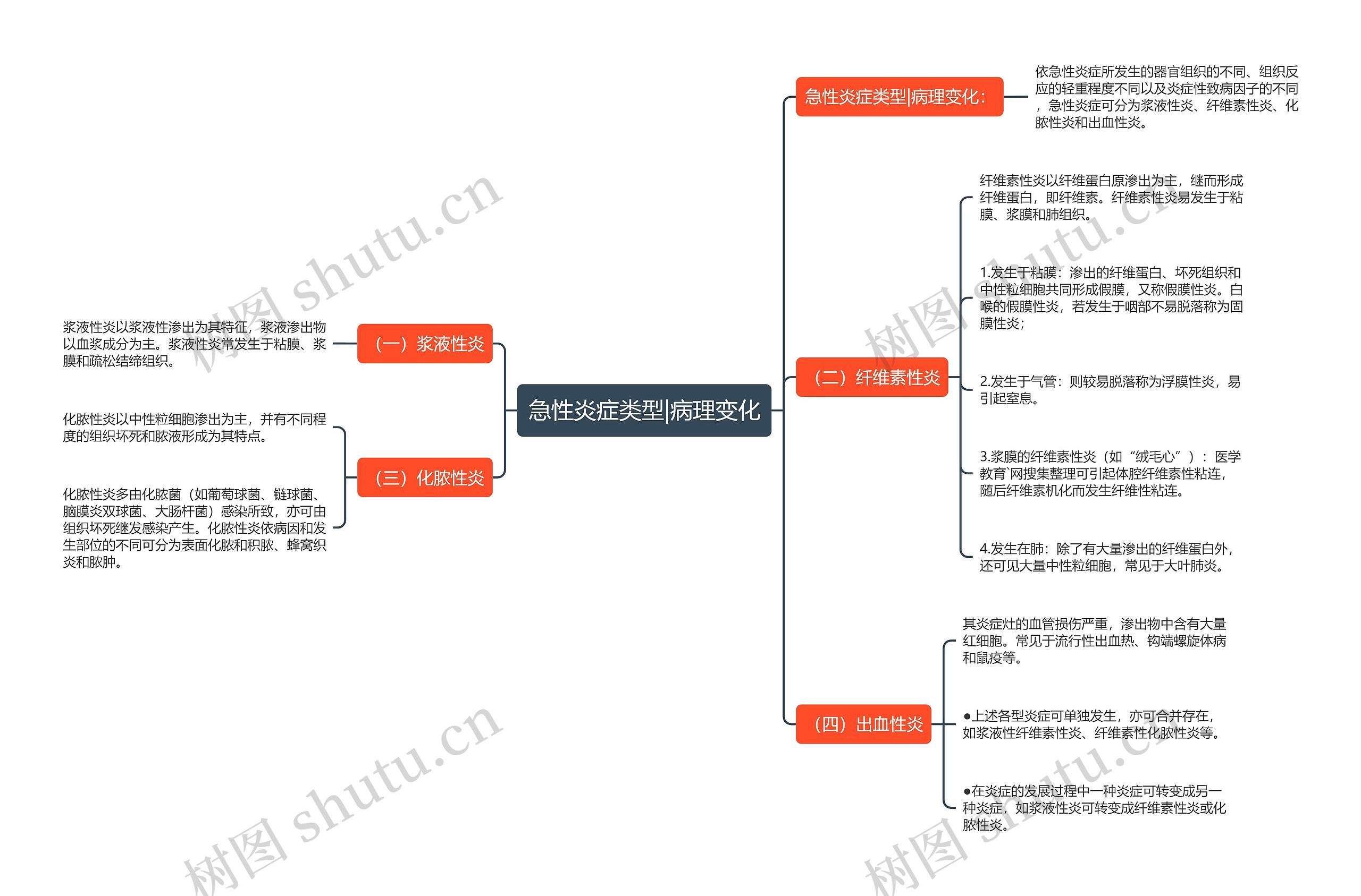 急性炎症类型|病理变化思维导图