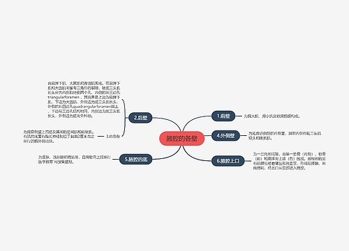 腋腔的各壁