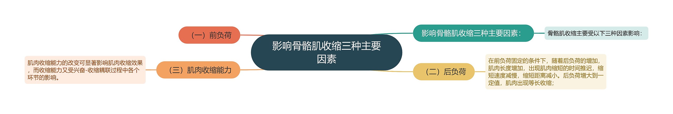 影响骨骼肌收缩三种主要因素