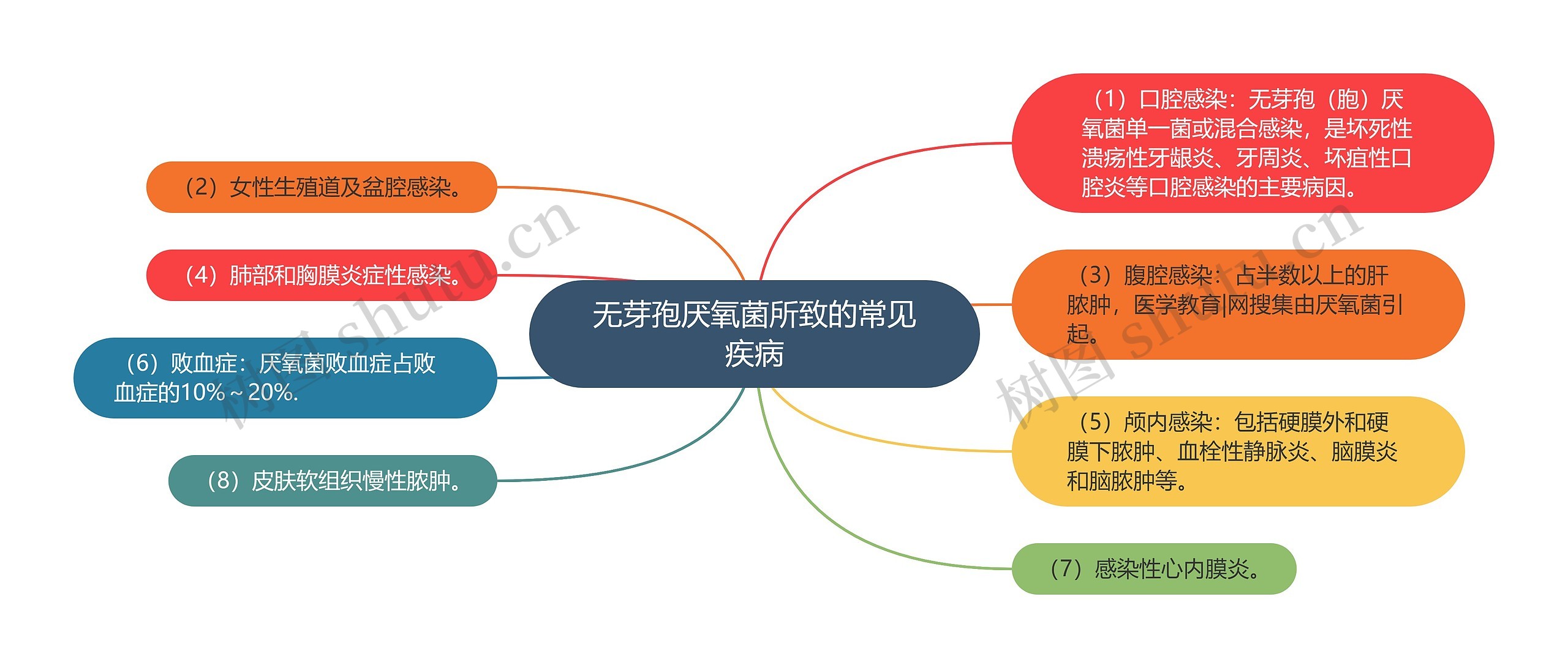 无芽孢厌氧菌所致的常见疾病思维导图